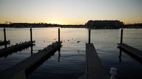 Marina at Dusk Stock Footage 944414