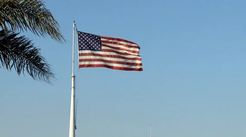 Marina Flag Stock Footage 37272042