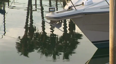 Marina Video stock 919881