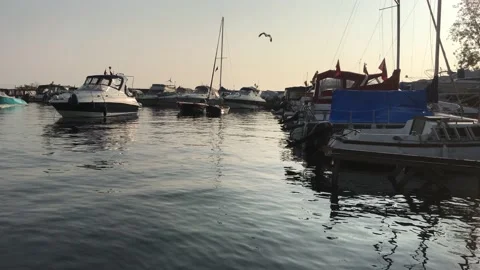 Marina Stock Footage 144343931