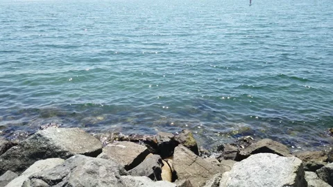 Marina Stock Footage 200919417