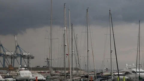 Marina masts on the wind Stock Footage 98276233