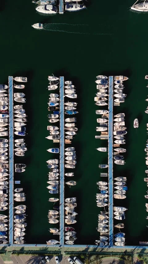 Marina in plan view in portrait format. Tomas Maestre harbor, La Manga, Mur.. Stock Footage 259845255