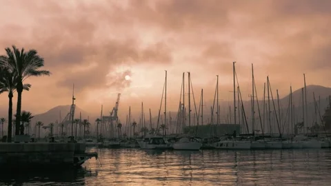 Marina in a red sunset Stock Footage 311563175