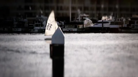 Marina Sailing Stock Footage 944484