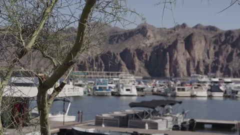 Marina in Soft Focus Stock Footage 200800396