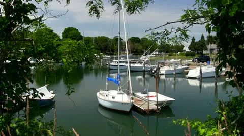 Marina through trees Stock Footage 12134715