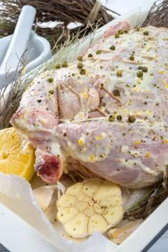 Marinated chicken Stock Photos