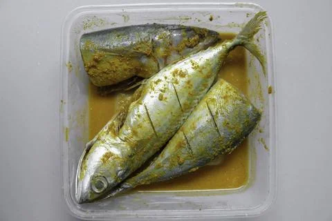 Marinated fish in plastic container with yellow spice. Stock Photos