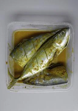 Marinated fish in plastic container with yellow spice. Stock Photos