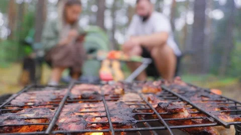 Marinated meat grilling on barbecue rack over campfire Stock Footage 327528249
