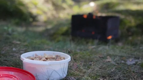 Marinated meat ready for cooking Vídeo Stock 71215842