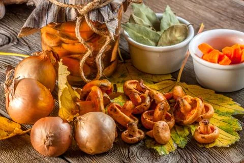 Marinated mushrooms. Fotos Stock