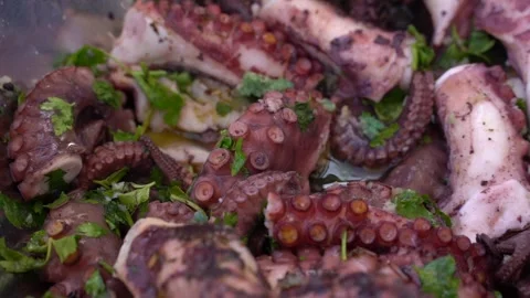 Marinated octopus tentacles ready for barbecue Stock Footage 151329233