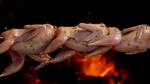 Marinated quails skewered are placed on an open fire Stock Footage 314624905