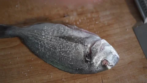 Marinating fresh fish with salt Stock Footage 131046878