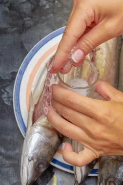 Marinating raw fish mackerel for baking on the grill Stock Photos