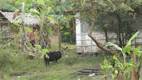 Marinduque Island Stock Footage 106459419