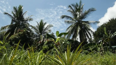 Marinduque Island Stock Footage 106459794