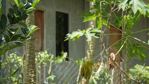 Marinduque Island Video stock 106459939