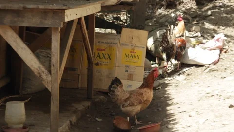 Marinduque Island Video stock 106460012