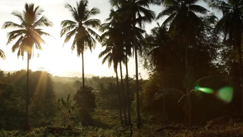 Marinduque Island Stock Footage 106460760