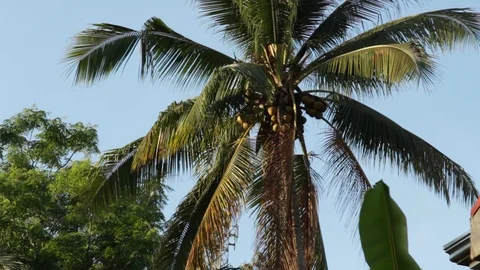 Marinduque Island Video stock 106460810