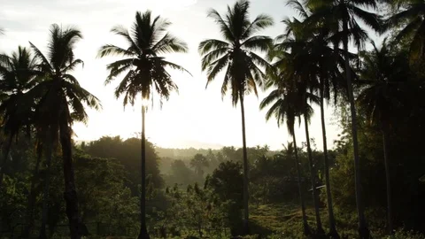 Marinduque Island Stock Footage 106460815