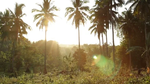 Marinduque Island Stock Footage 106460823