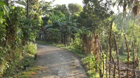 Marinduque Island Stock Footage 106460849