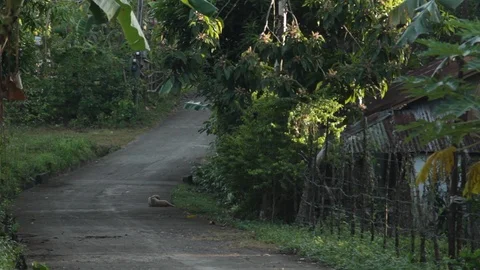 Marinduque Island Stock Footage 106460878