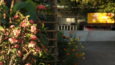 Marinduque Island Stock Footage 106460892