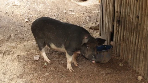 Marinduque Island Stock Footage 106461250