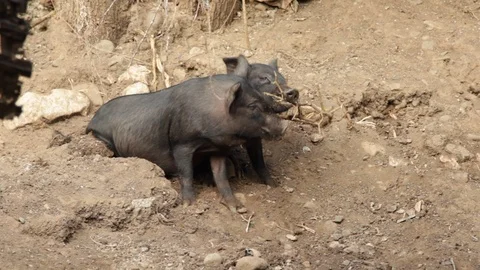 Marinduque Island Video stock 106461261