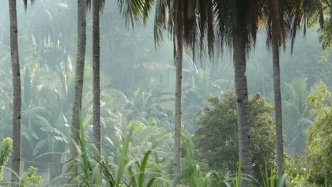 Marinduque Island Video stock 106461305