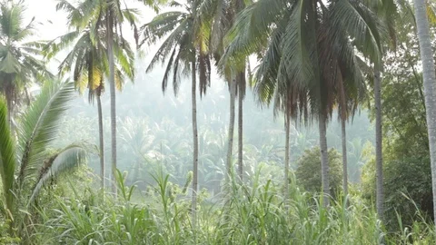 Marinduque Island Stock Footage 106461318