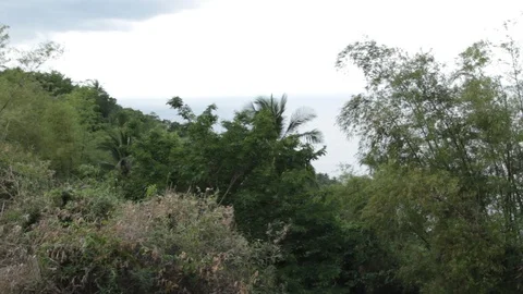 Marinduque Island Stock Footage 106461429