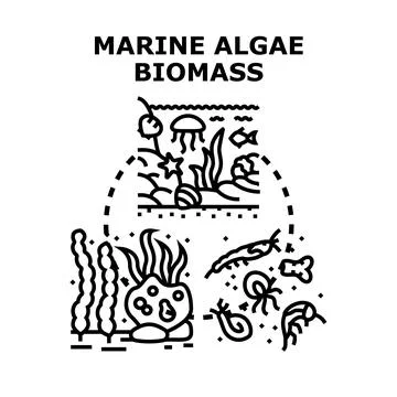Marine algae biomass concept for aquatic ecosystem Stock Illustration