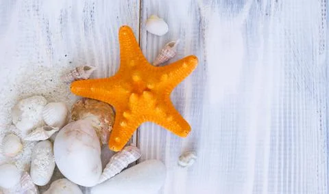 Marine background Stock Photos