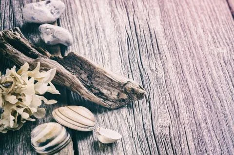 Marine background with seashells Stock Photos