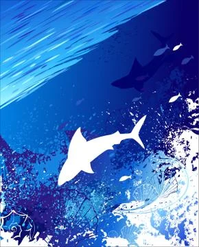 Marine Background with a White Shark Stock Illustration