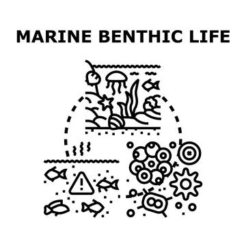 Marine benthic ecosystem cycle and pollution concept Stock Illustration