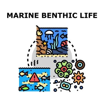 Marine benthic ecosystem cycle and pollution concept Stock Illustration