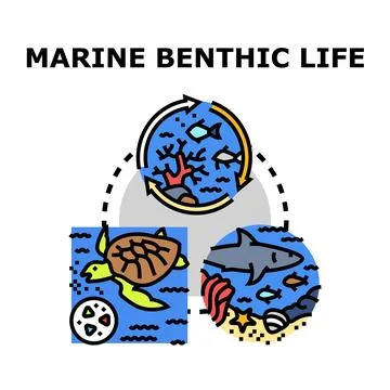 Marine benthic life ecosystem and underwater conservation concept Illustrazione stock