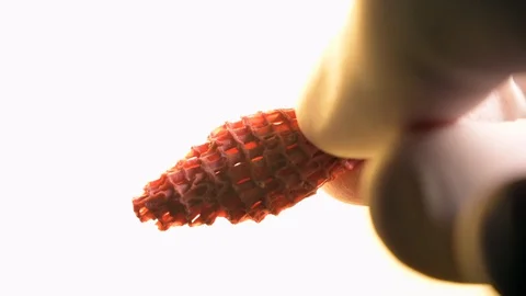 Marine biologist examines coral samples Vídeo Stock 128929101