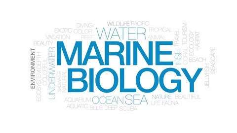 Marine biology animated word cloud, text... | Stock Video | Pond5