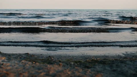 Marine black slime on the surface of the sea and on the coast. Vídeo Stock 201632014