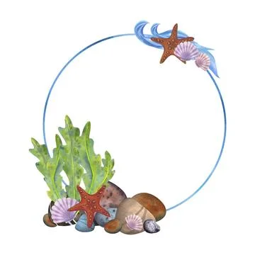 Marine composition, frame, template on a white background. Sea stones, algae Stock Illustration