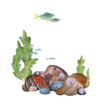 Marine composition, frame, template on a white background. Sea stones, algae Stock Illustration