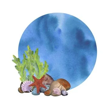 Marine composition, frame, template on a white background. Sea stones, algae Stock Illustration